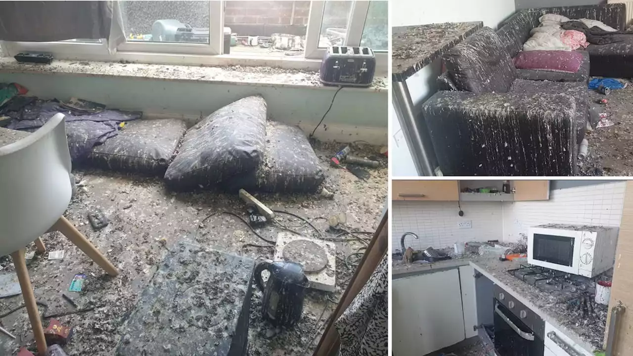 Quite the coop! Pigeons cause \u00a315,000 worth of damage to London flat after tenants accidentally leave door...