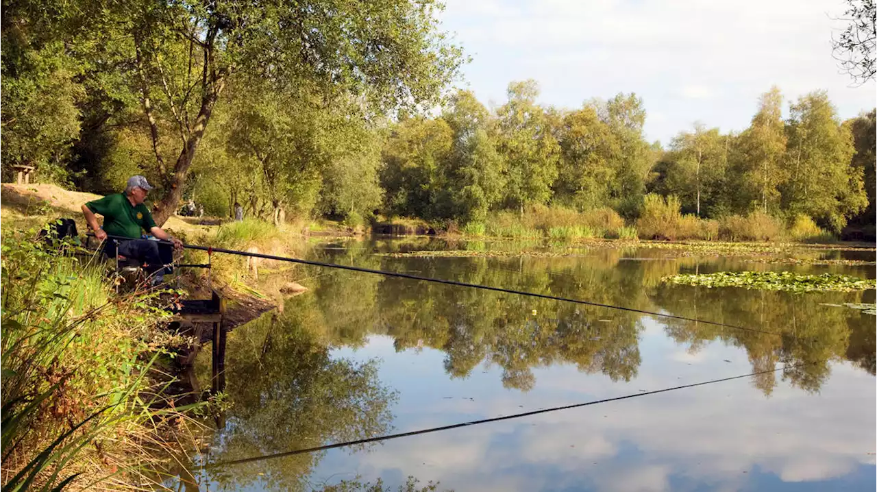 Woman arrested on suspicion of murder after body of girl, 2, found in pond