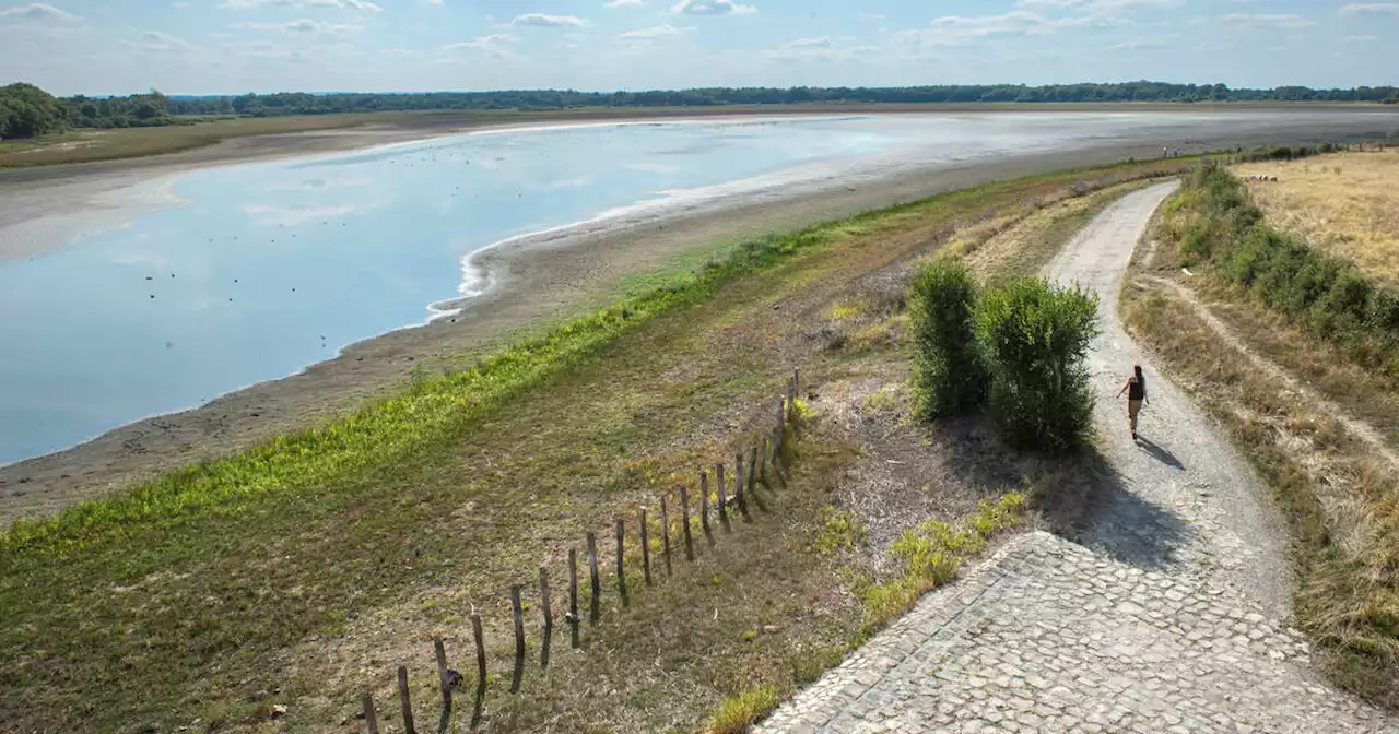 L’urgence, au-delà de la transition écologique