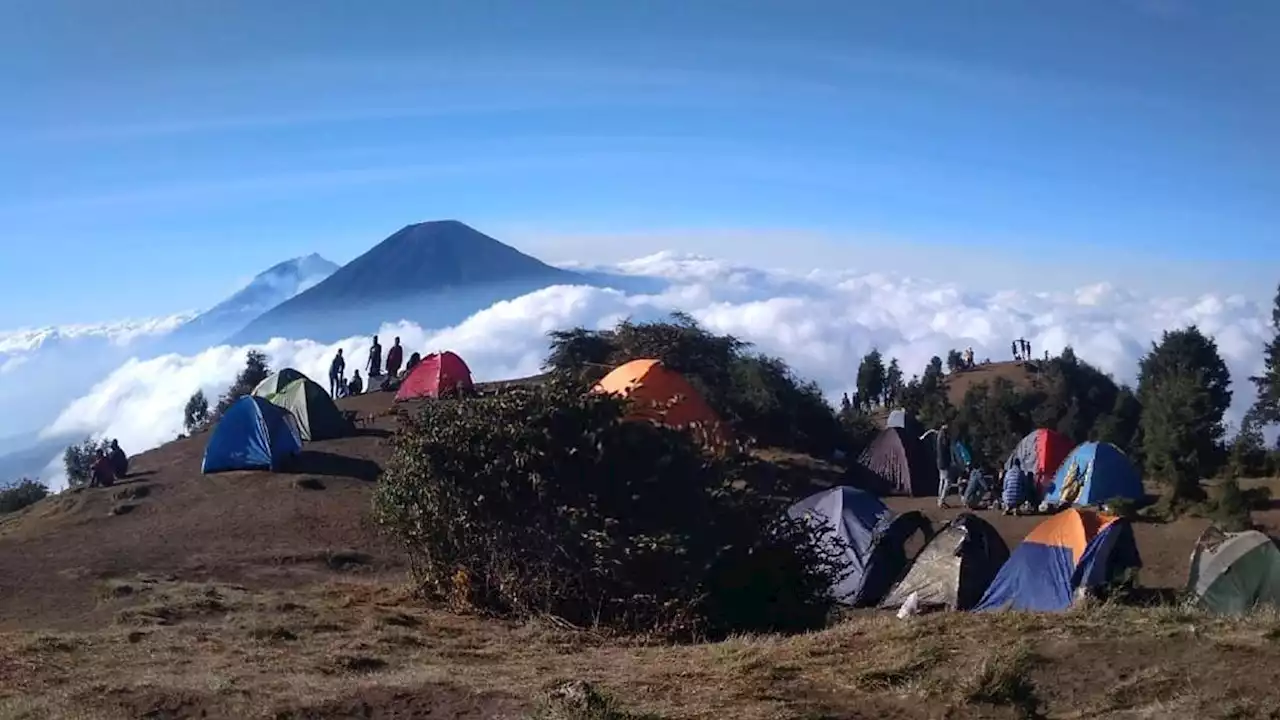 6 Fakta Menarik Gunung Prau di Daratan Tinggi Dieng, Wonosobo Jawa Tengah