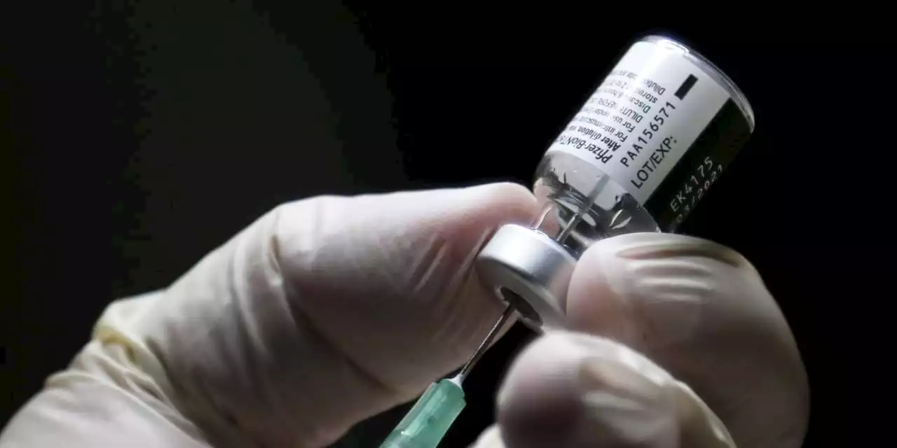 Pfizer and Moderna Covid Vaccines Approved by FDA. When They Could Become Available.