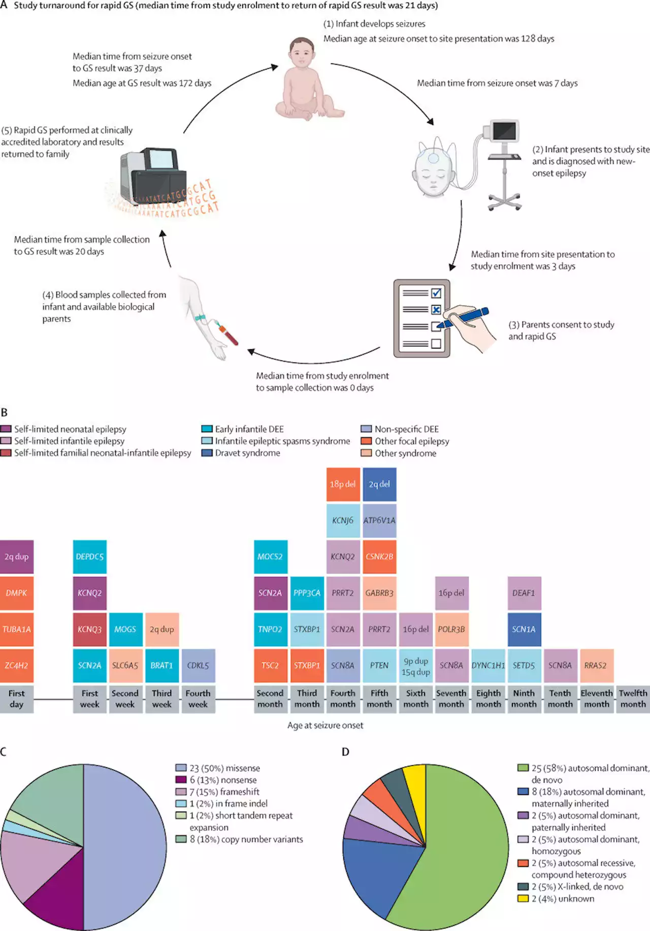Rapid DNA sequencing yields timely answers for infant epilepsy