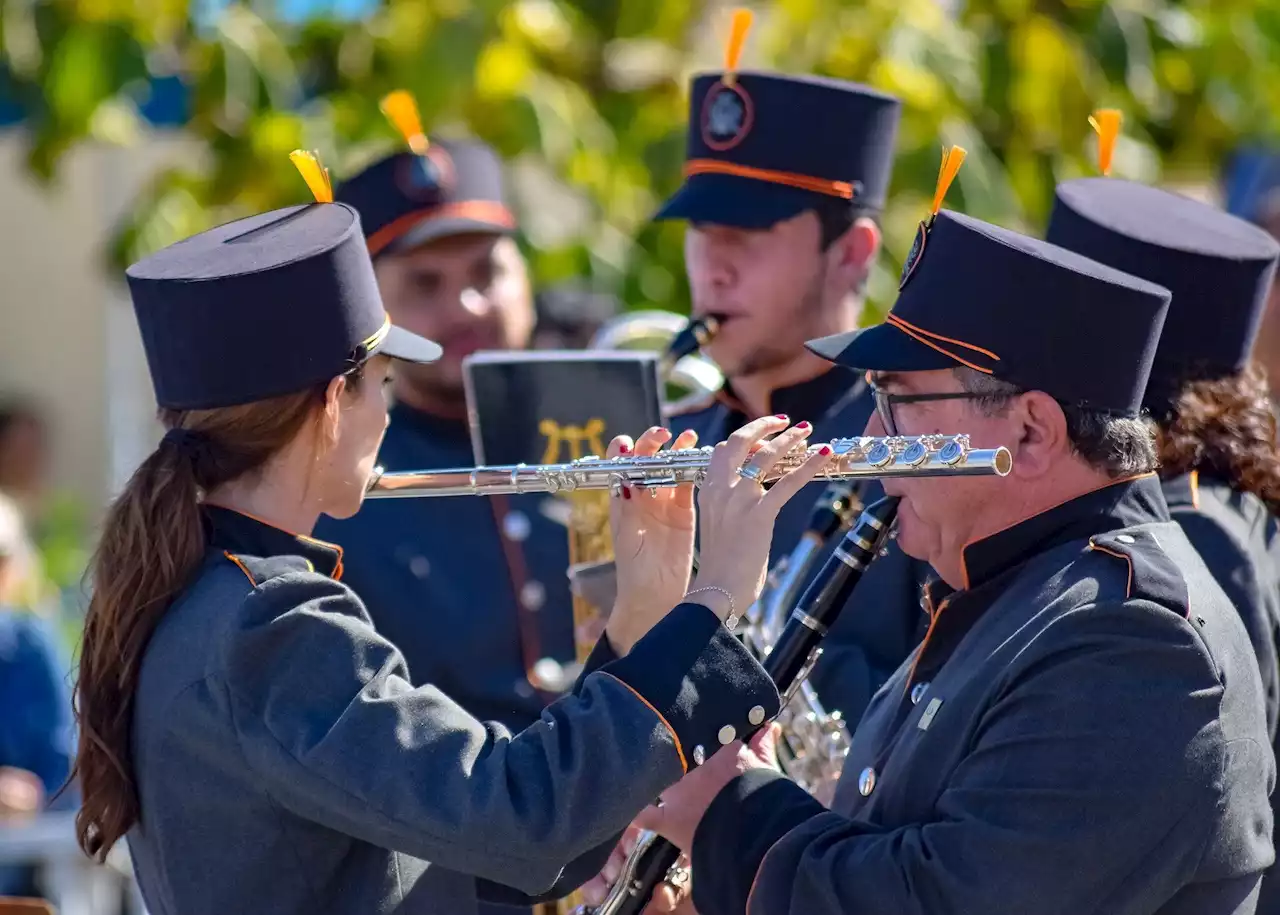 Researchers report on interpersonal synchronization in music performance