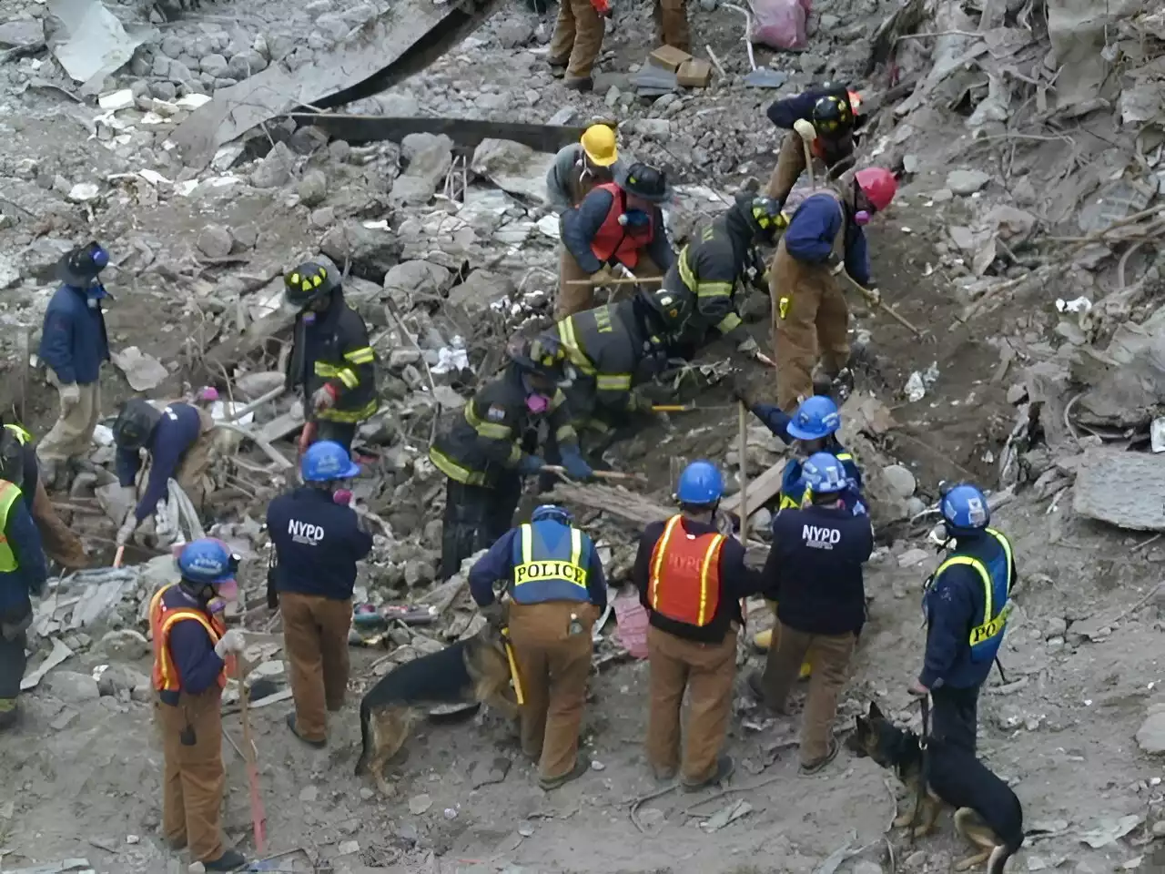 World Trade Center attack responders continue to need monitoring of PTSD, cognitive status