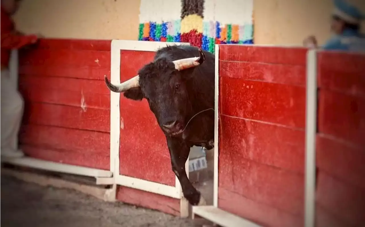 Plaza de Toros Nuevo Progreso. Destaca el novillero Julián Garibay