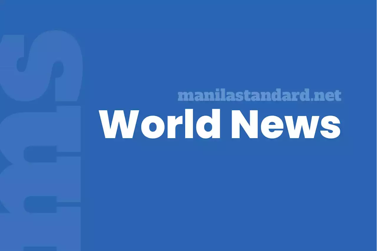 Mali armed groups say preparing for battle with junta