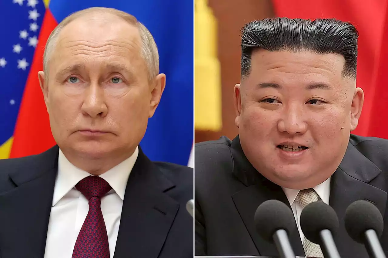 Geplantes Treffen von Putin und Kim bestätigt