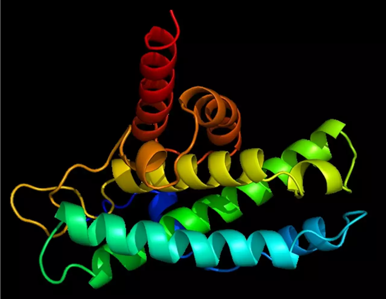 Musashi-2 protein plays key role in the regulation of mass and metabolic processes in skeletal muscle