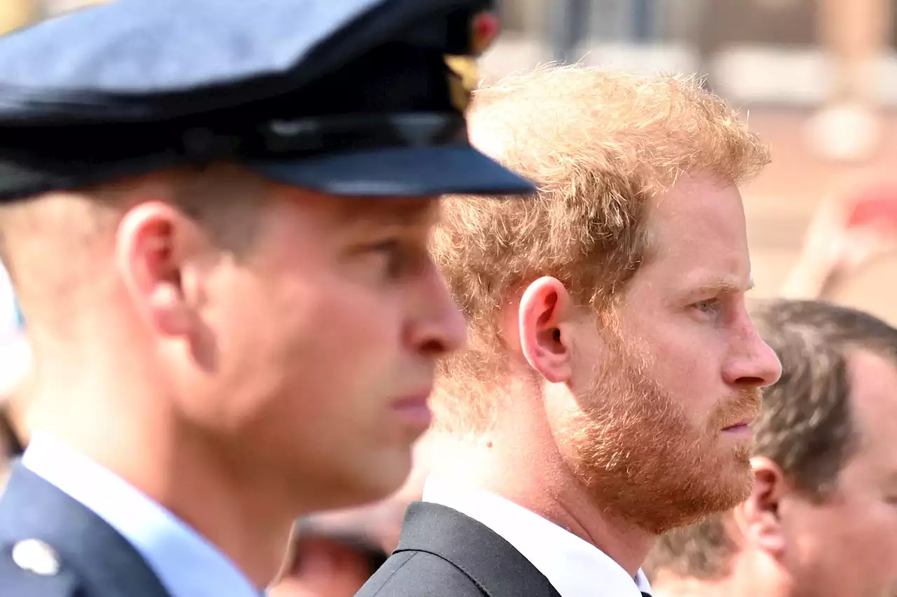 How Prince Harry's memoir backfired on social media