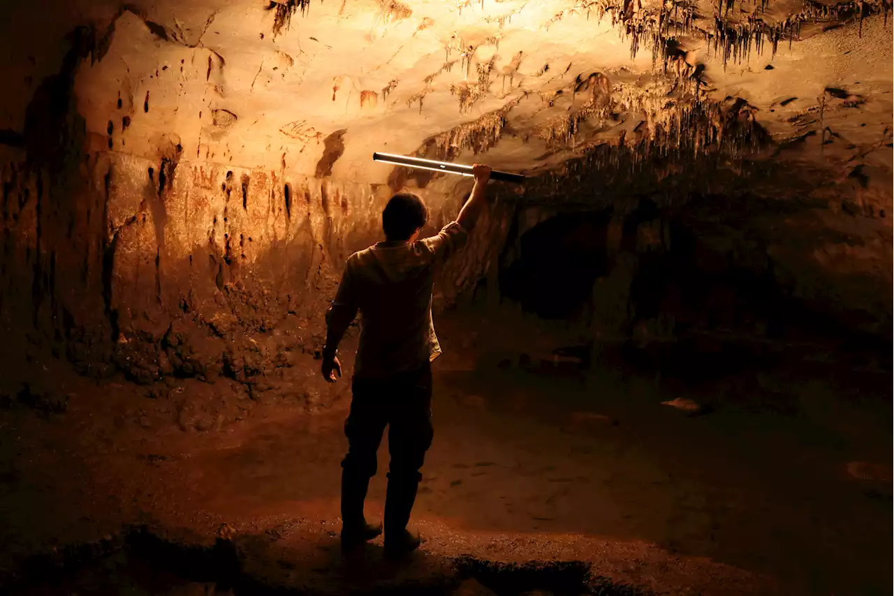 'Major' Paleolithic cave art site with over 100 paintings, engravings found