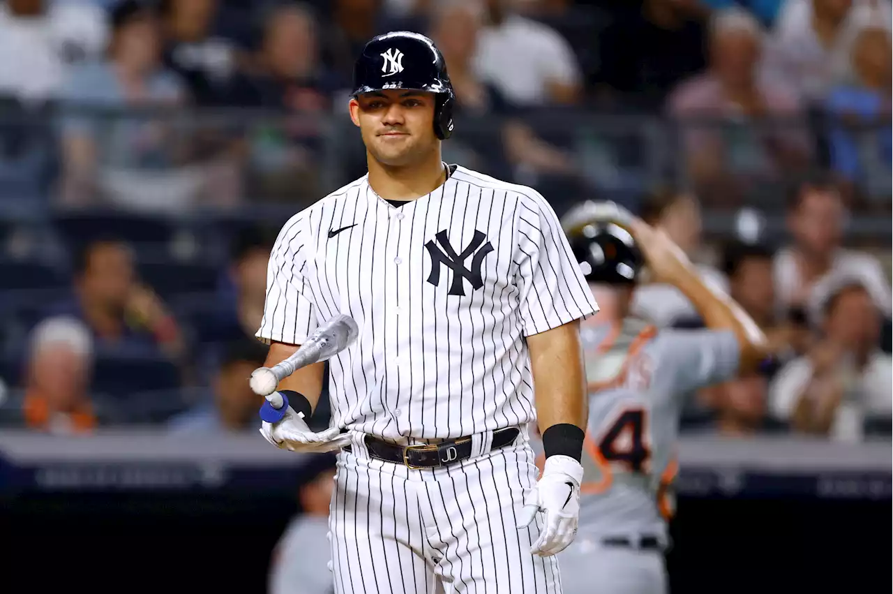 Jasson Dominguez has torn UCL in major Yankees injury blow