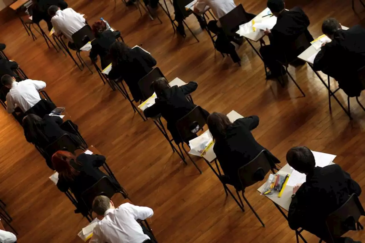 Tory faction denies push to ban some students from going to university