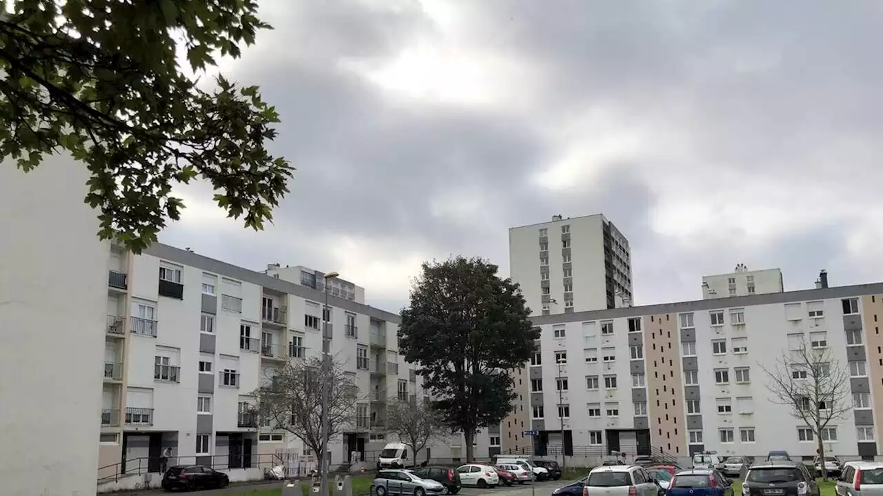 À Brest, une bande de jeunes dérobait des deux-roues pour filmer des rodéos