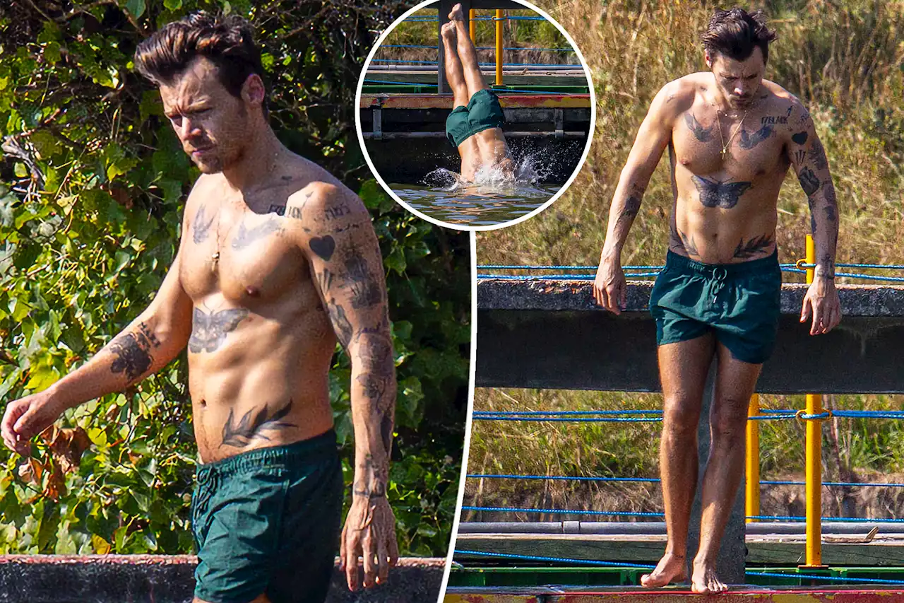 Shirtless Harry Styles shows off ripped abs while going for swim during London heatwave