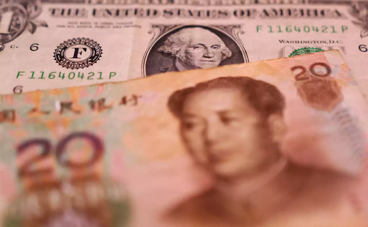 Exclusive-China's central bank to scrutinise bulk dollar purchases