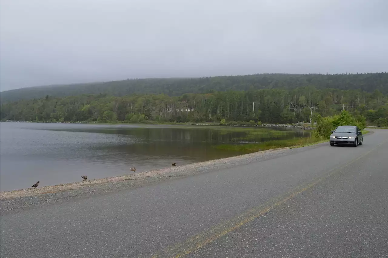 Mi'kmaw elders oppose proposed Cape Breton copper mine