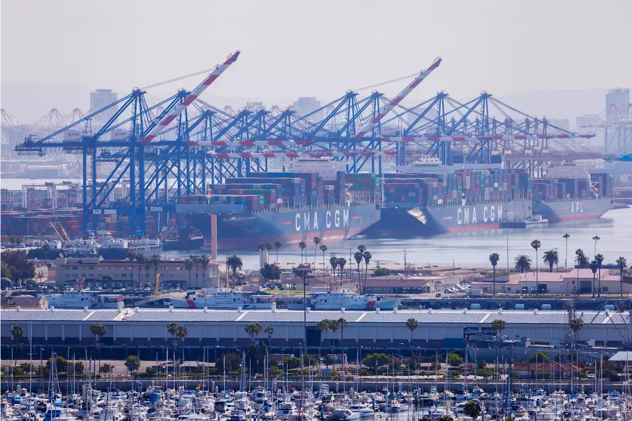 US West Coast ports gained market share in August after labor deal -report