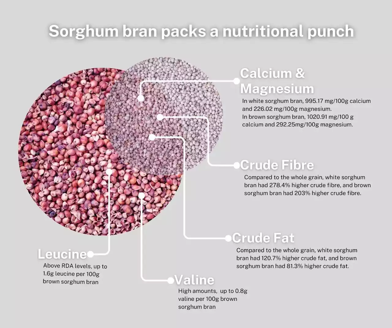 Super Grain Nutritional Showdown: Why Sorghum Bran Beats the Whole Grain