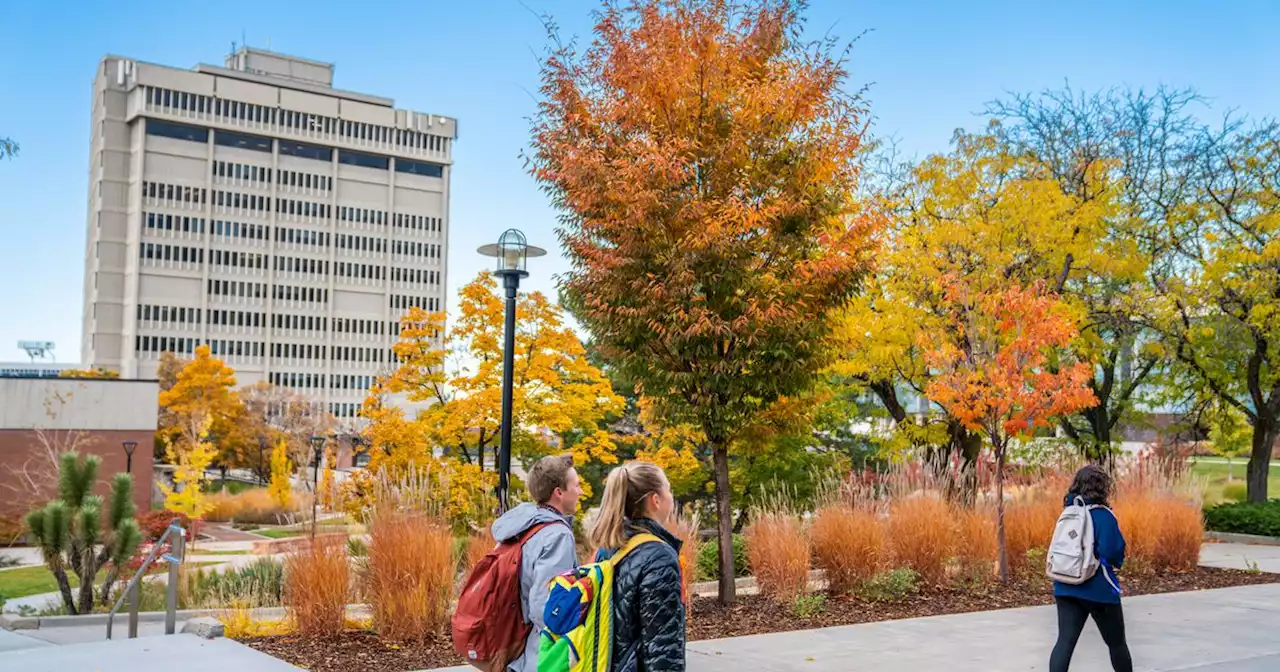 Surprise, it’s college application season already!