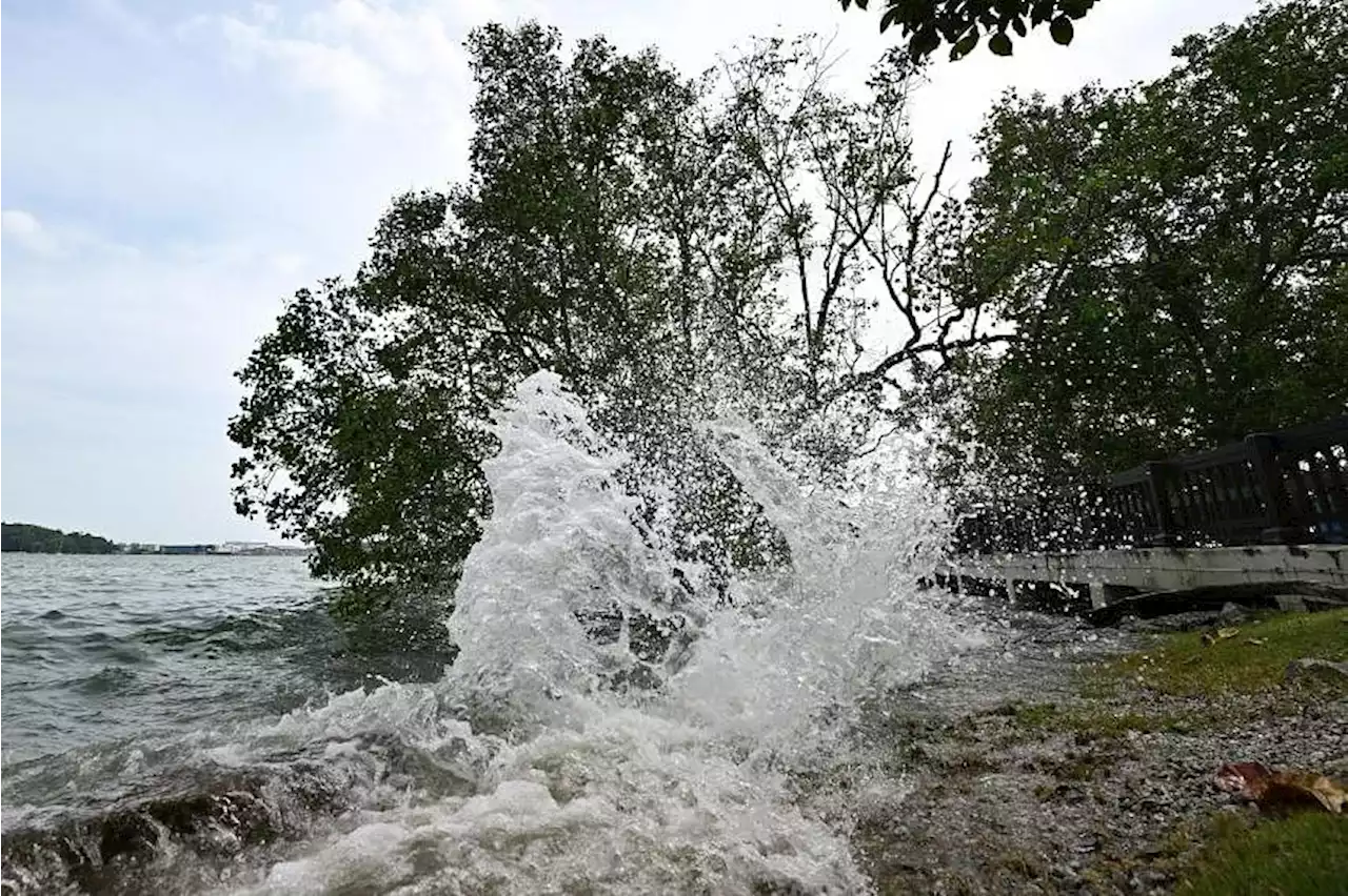 Climate-proofing Singapore’s coastlines: Some coastal protection projects