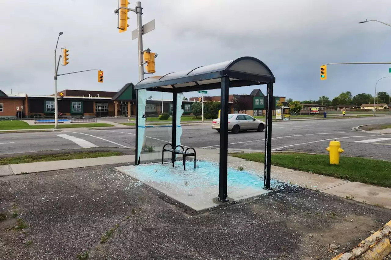 Bus shelter vandals strike again