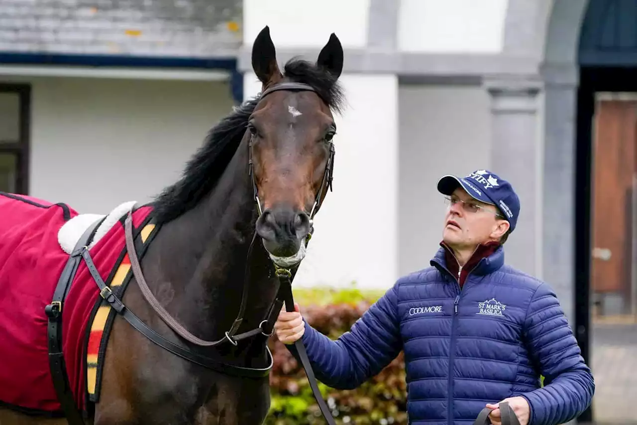 Irish trainer Aidan O'Brien hits 4,000 career wins