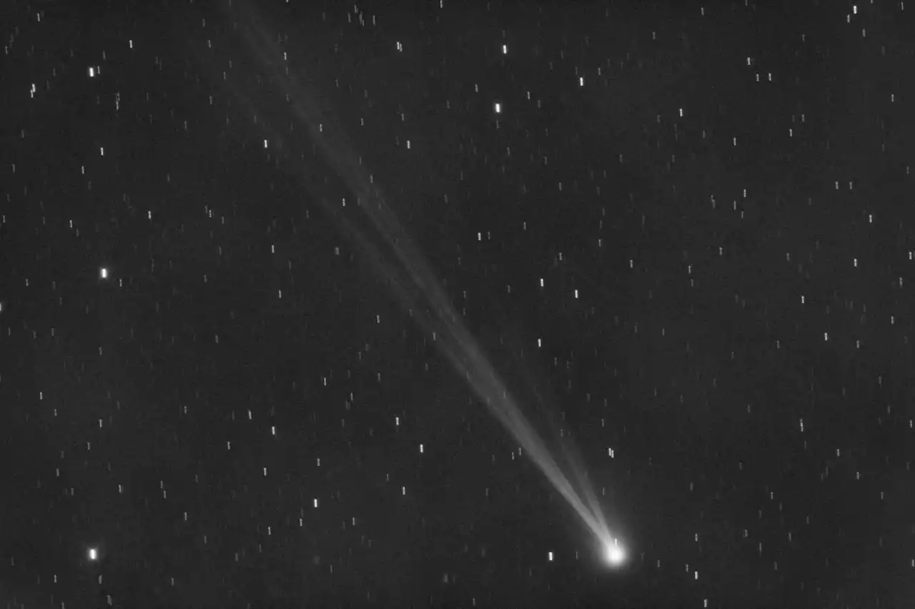 Where Comet Nishimura is now and how to see it from the UK