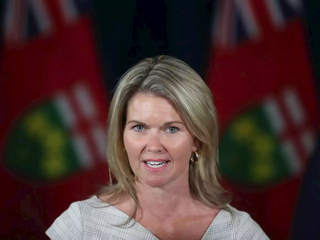 Ontario holding student housing consultations, minister says