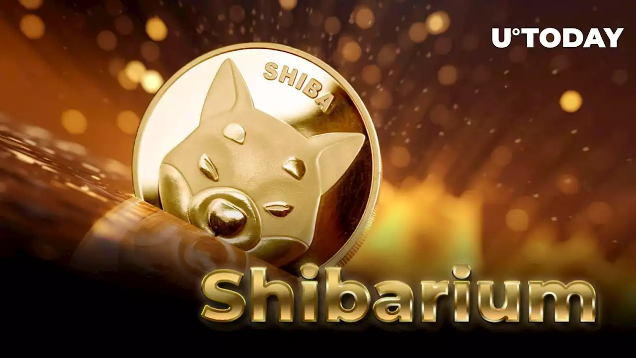 Shiba Inu's Shibarium Records Groundbreaking Transaction Milestone