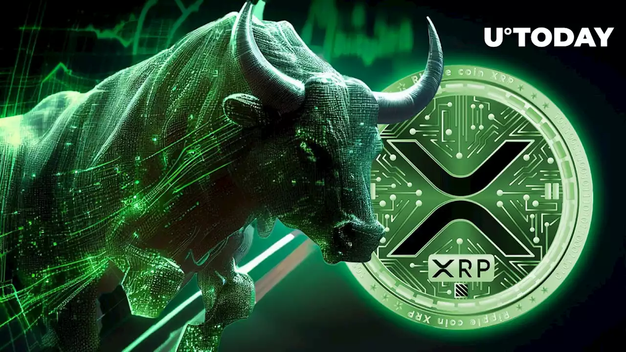 XRP Bulls Return Strong Amid Token Price Facing Headwinds