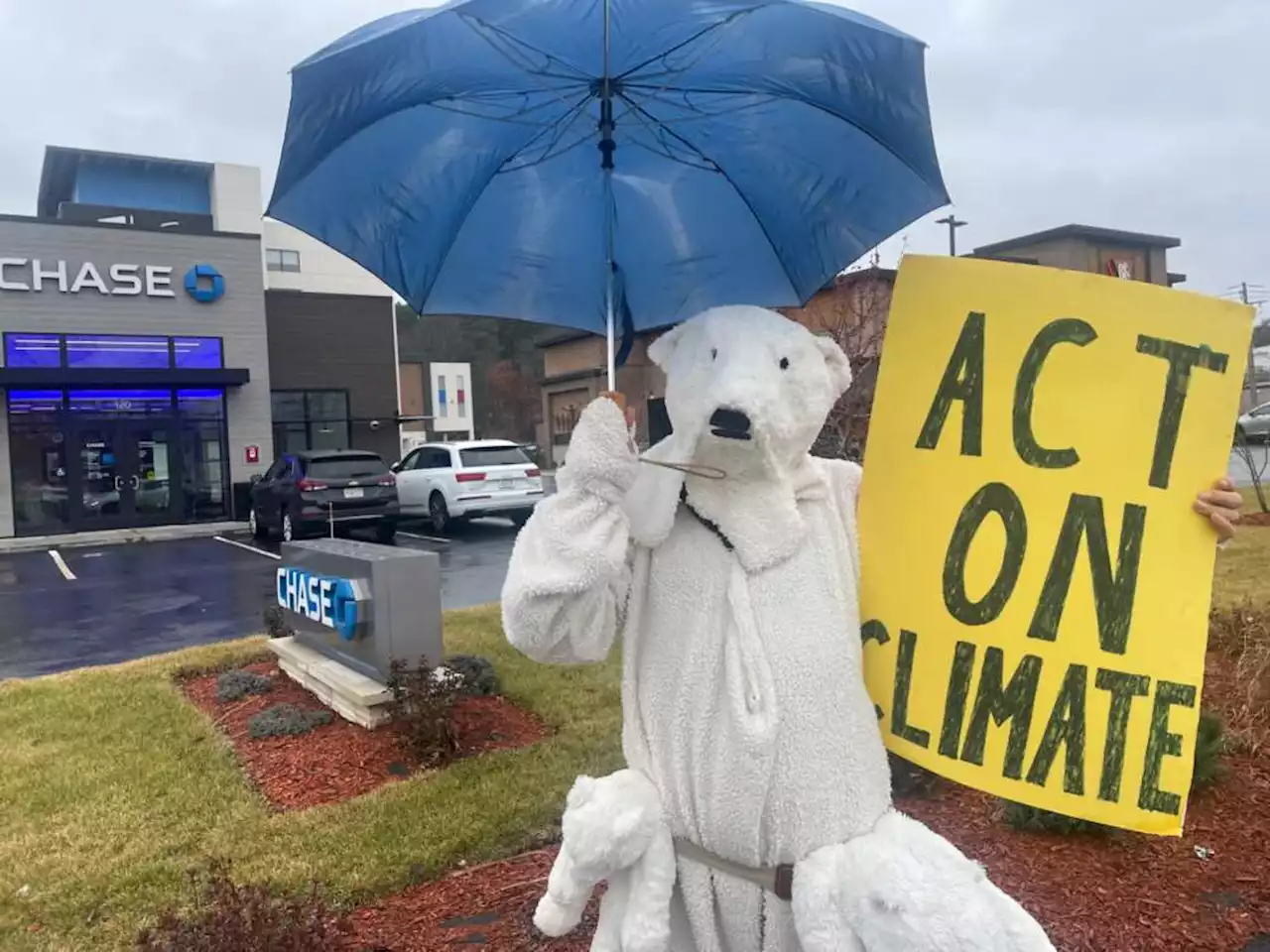 My ‘polar bear’ approach to the climate crisis