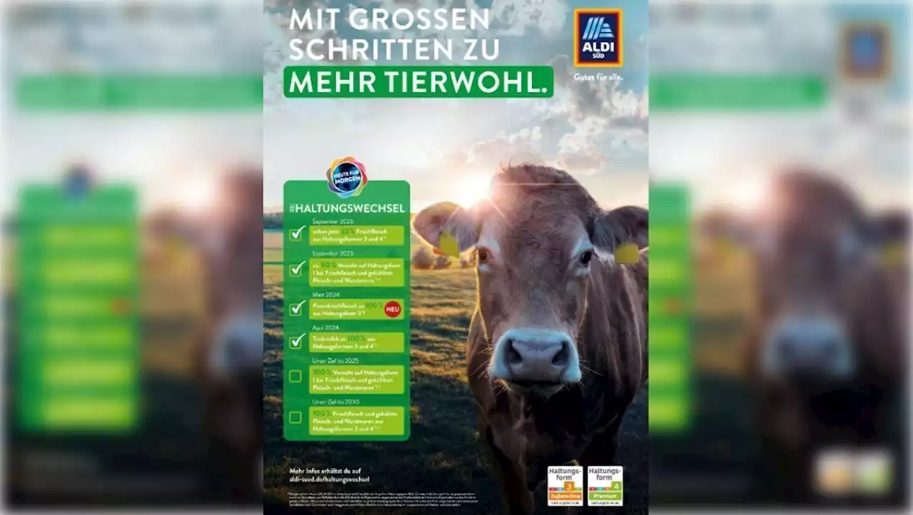 Tierwohlstandards bei Aldi Süd: Neue Kampagne zeigt den Fortschritt