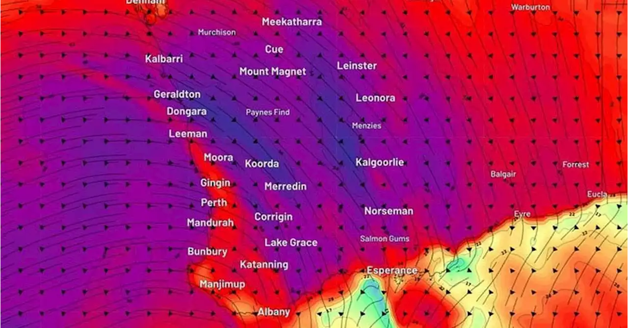 Powerful cold front forecast to bring destructive winds for south-west WA