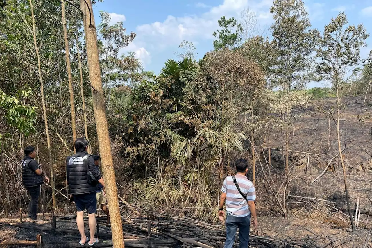 Polisi tangkap pelaku pembakaran lahan di Sarolangun Jambi