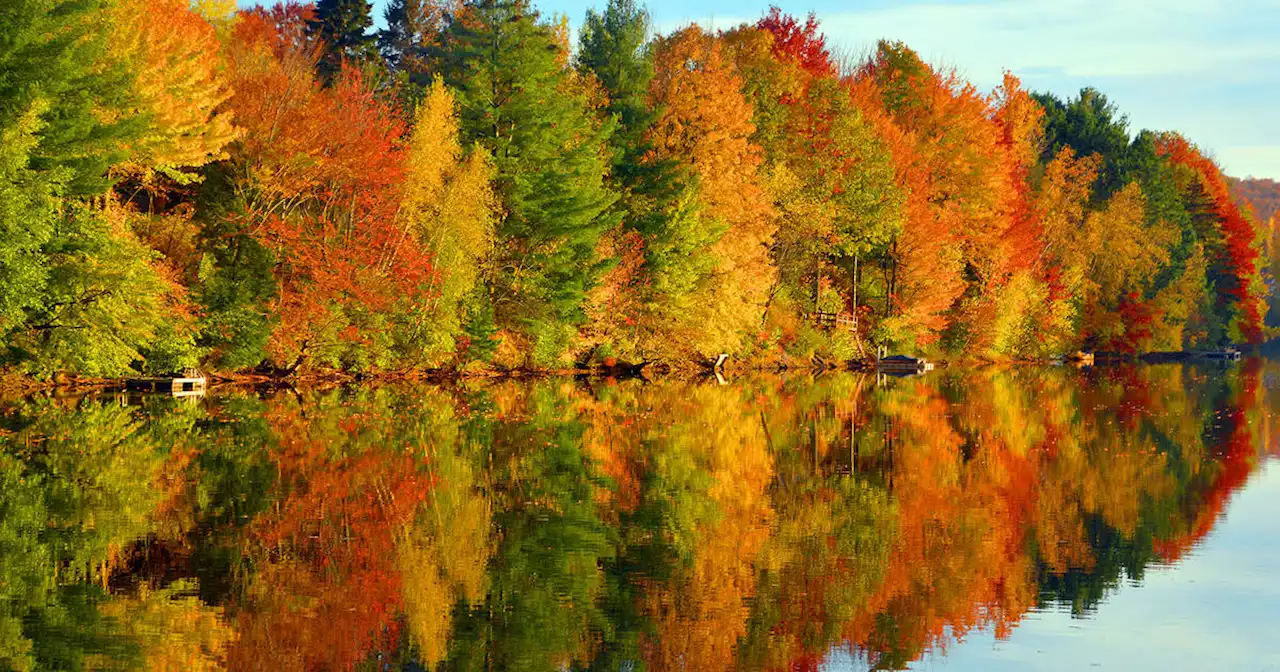 This is when fall colours are expected to peak in Ontario this year