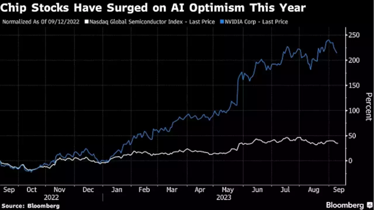 Fund Managers See Water Risk in Semiconductor Bets Being Mispriced