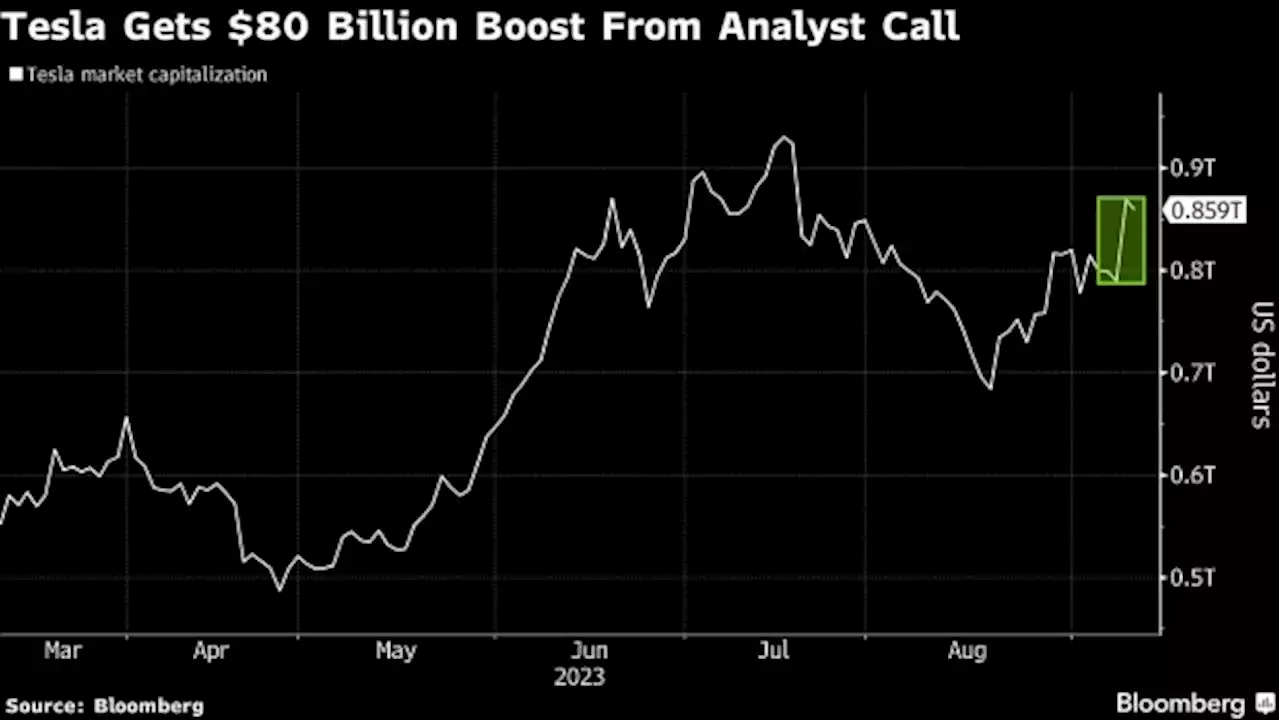 Tesla Got an $80 Billion Boost From Analyst Call. Not Everyone Buys It