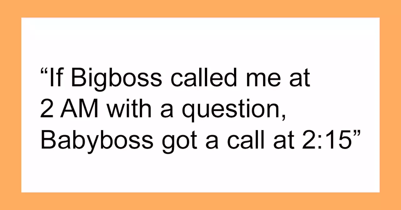 “He Loved To Micromanage”: Worker Teaches Boss A Lesson After Latest Demand Gets Him Fired