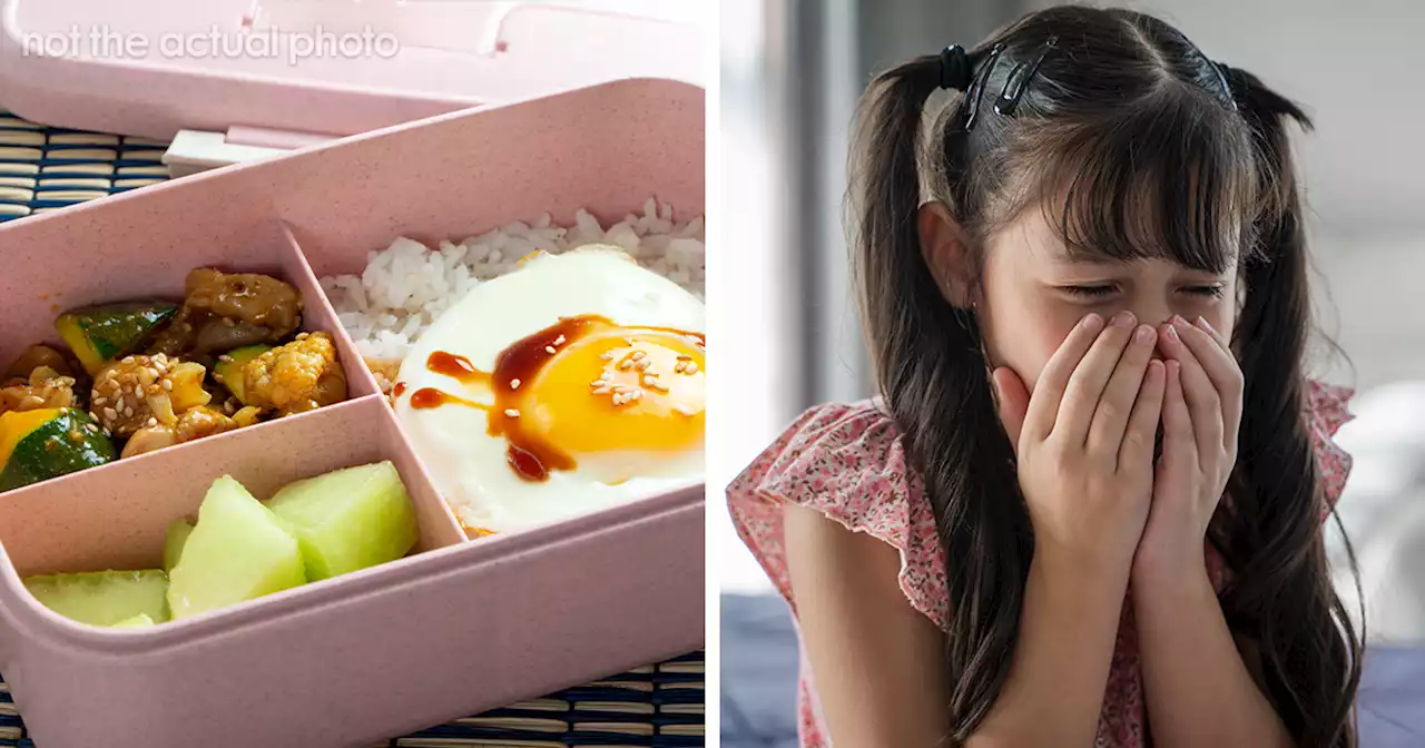 Mom Is Furious Daughter’s Bento Box Got Stolen, Throws Bully’s Lunch Away