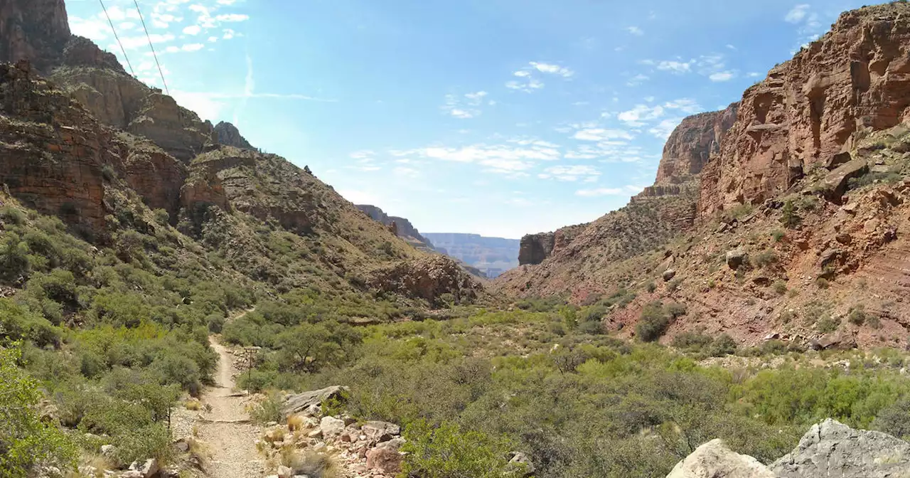 Man from Virginia dies in Grand Canyon after trying to hike 21 miles in single day