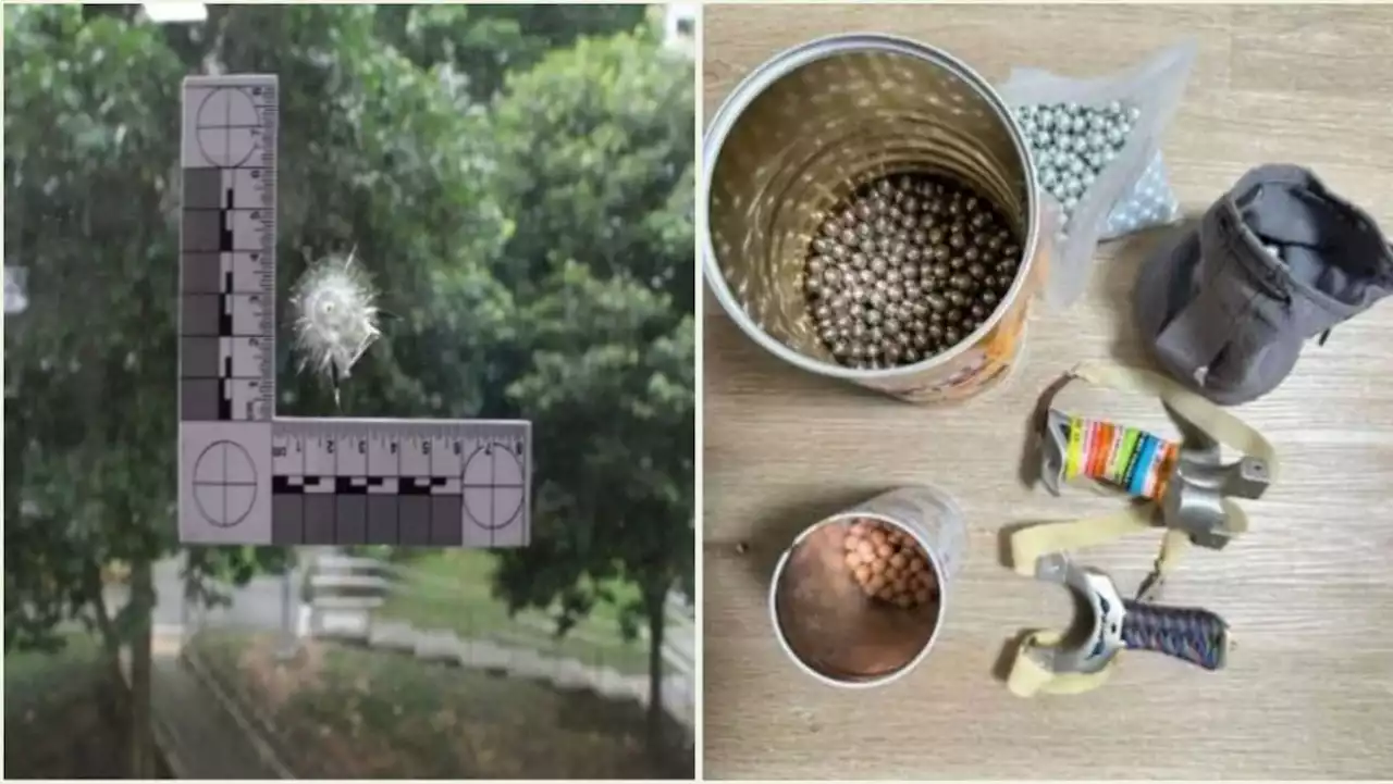 Man to be charged after allegedly shooting pellets at birds, damaging Jurong West flat window