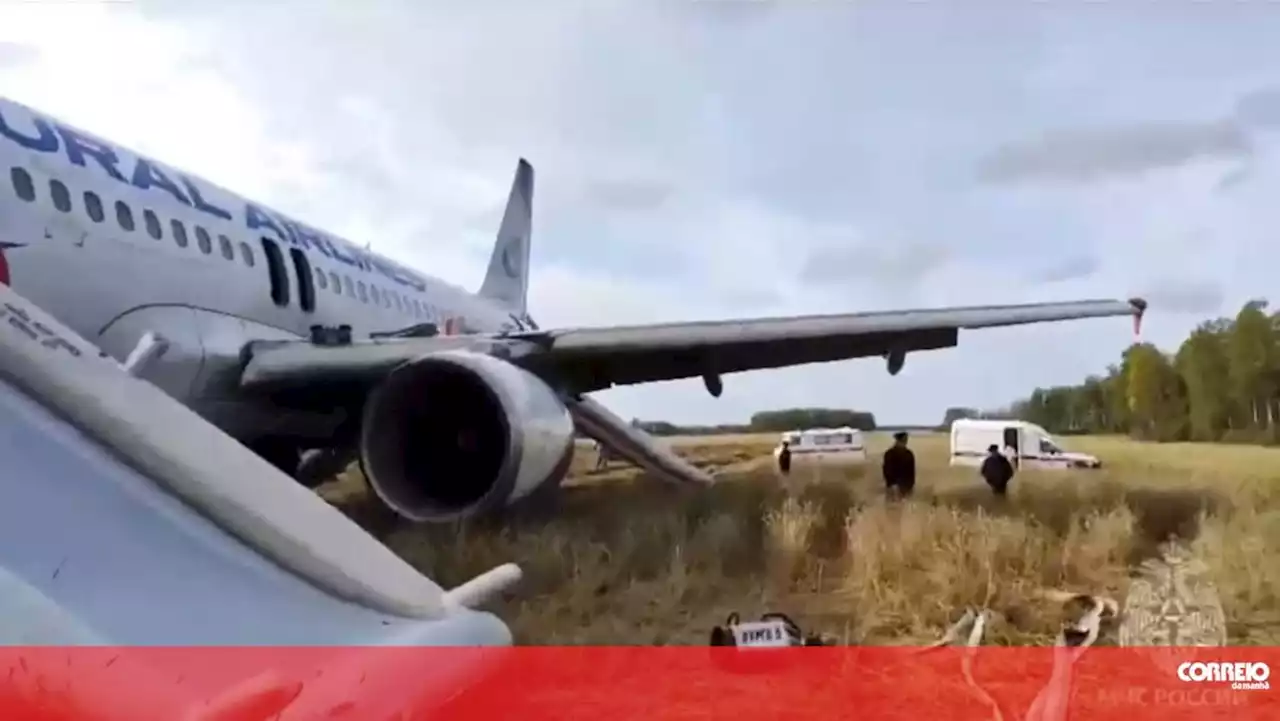 Airbus russo aterra de emergência em prado siberiano