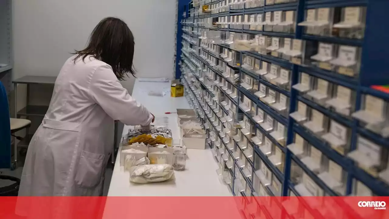 Farmacêuticos em greve no Centro e Norte por atualização da tabela salarial