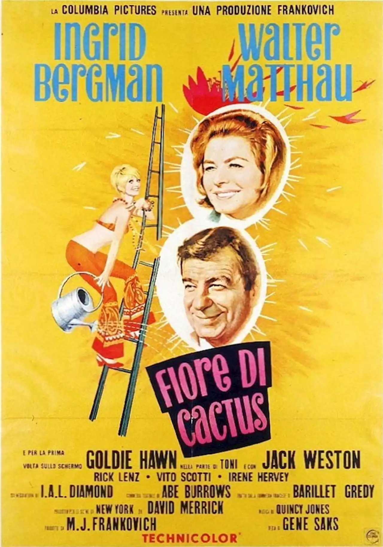 Fiore di cactus - Film (1969)