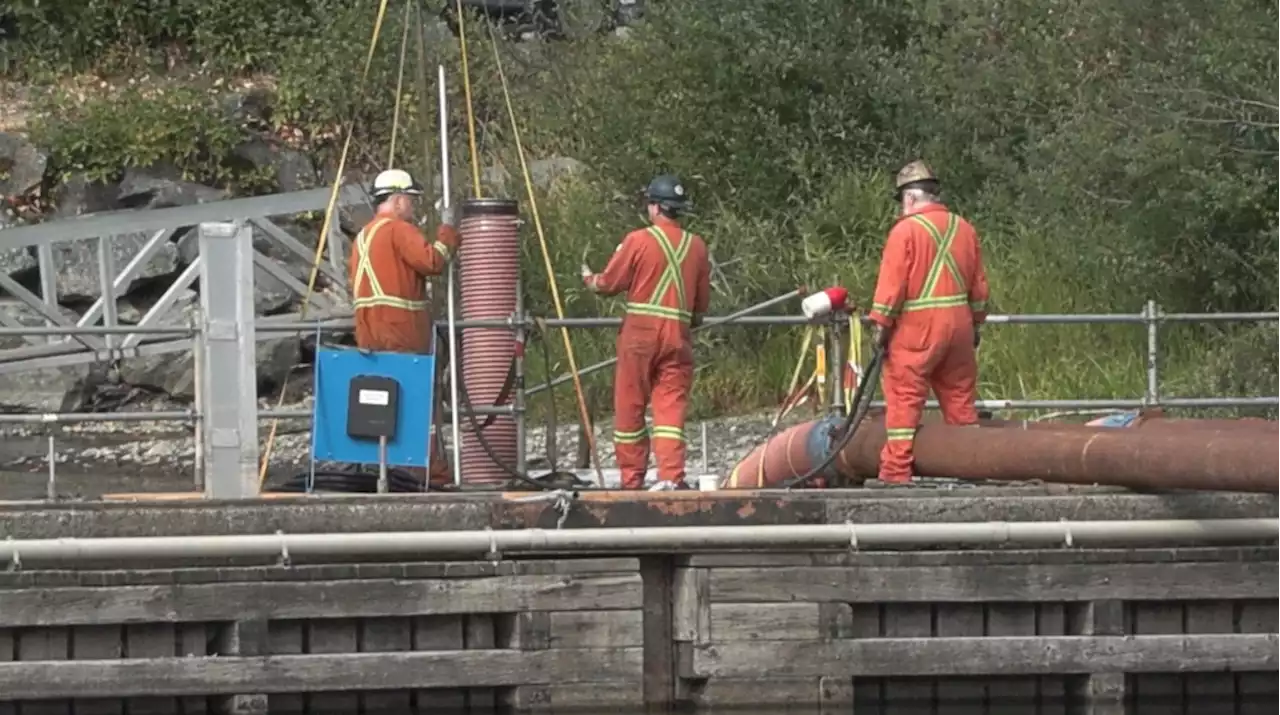 Workers to pump water into Cowichan River amid drought