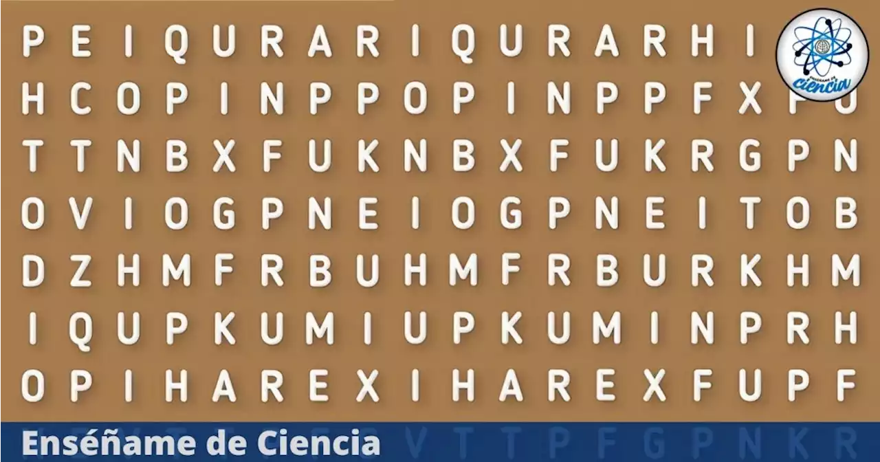 Acertijo visual EXTREMO: Encuentra la palabra “GAITA” oculta en la sopa de letras