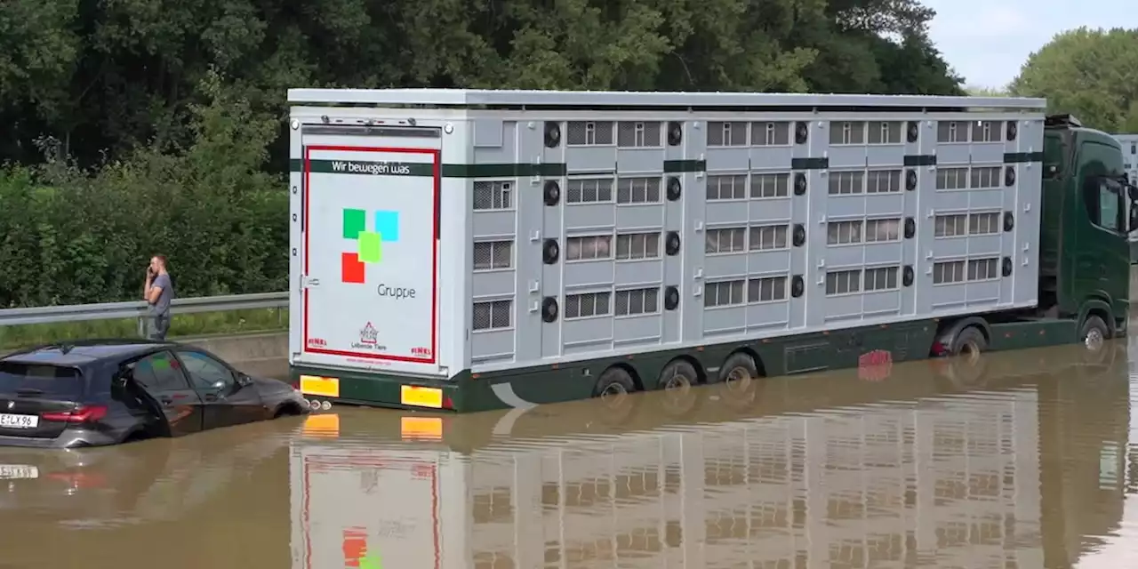 90 Liter pro Quadartmeter - Starkregen sorgt für Chaos in NRW