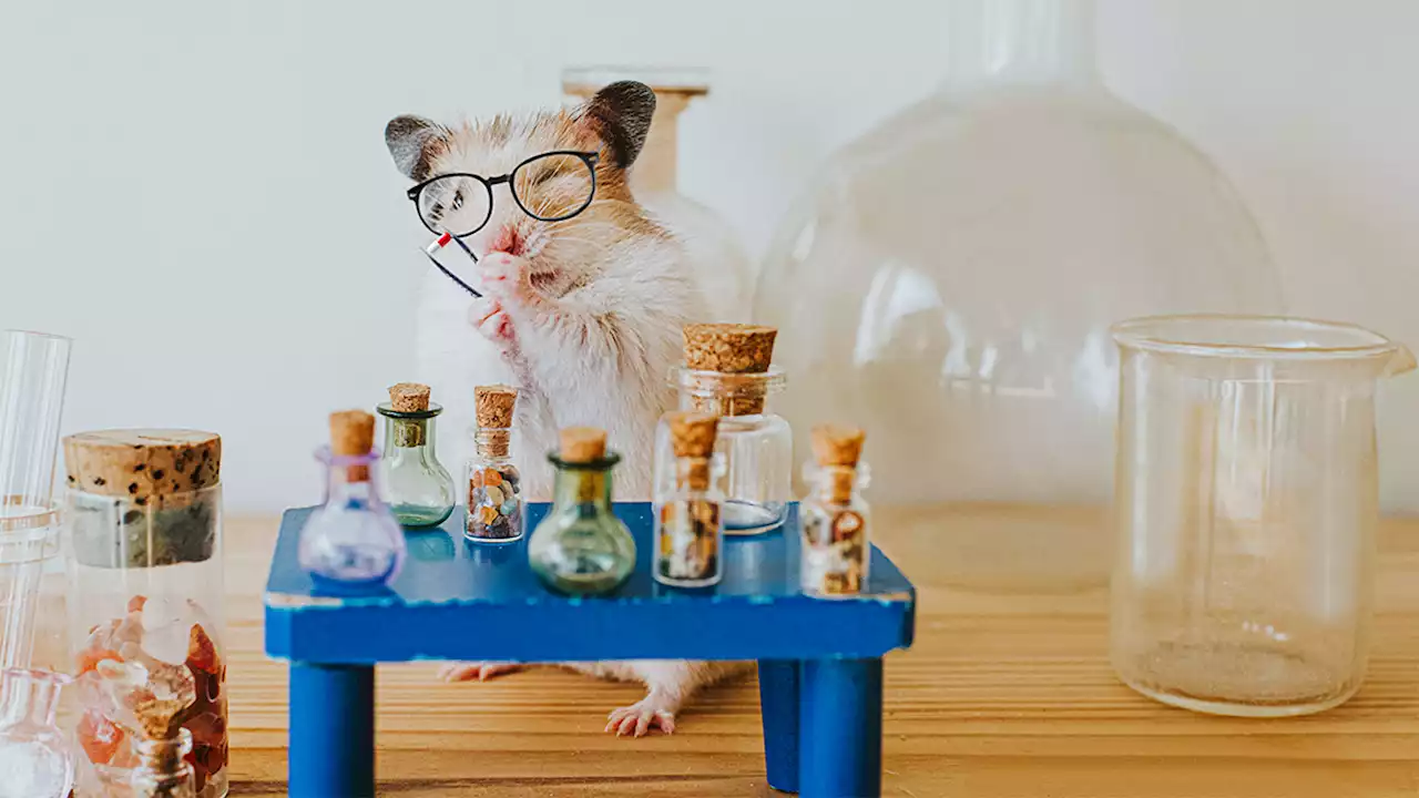 Build Learning into Your Employees’ Workflow