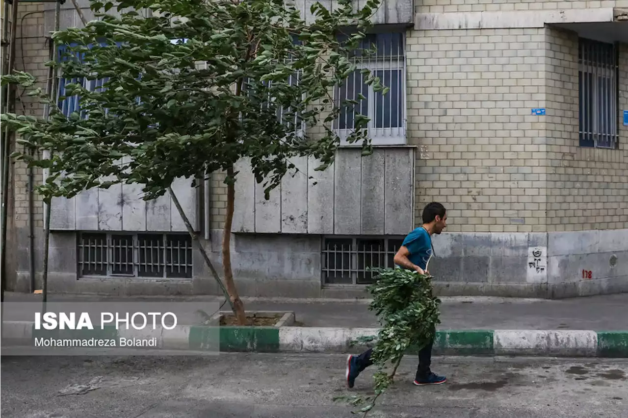 کاهش دمای هوای تهران طی هفته آینده/ وزش متناوب باد شدید تا پایان شهریور