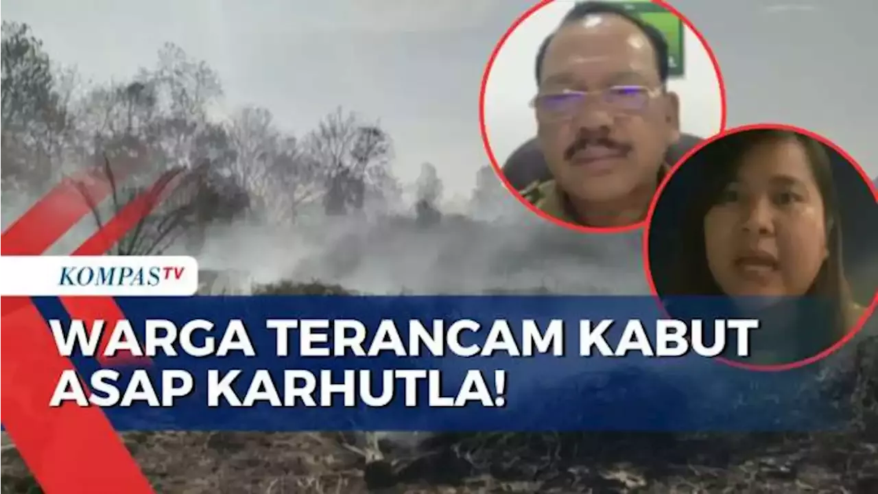 Apa Kata WALHI Dan KLHK Soal Ancaman Kabut Asap Kebakaran Hutan Bagi ...